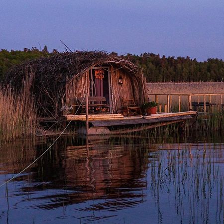 Bebru māja - Beaver house Usma Buitenkant foto
