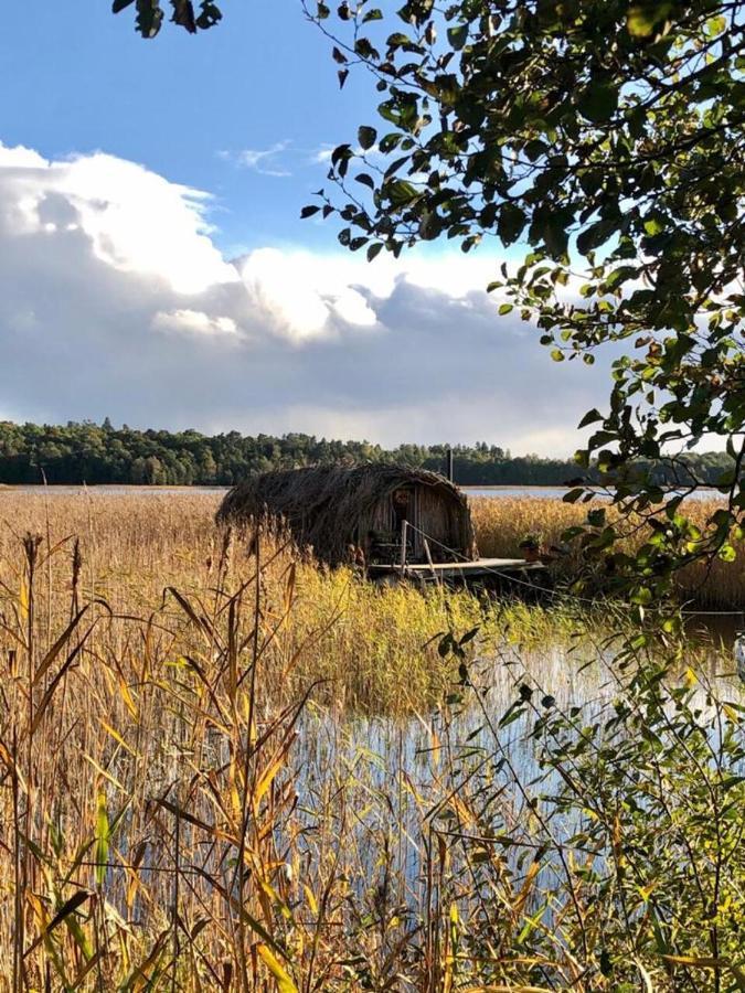 Bebru māja - Beaver house Usma Buitenkant foto