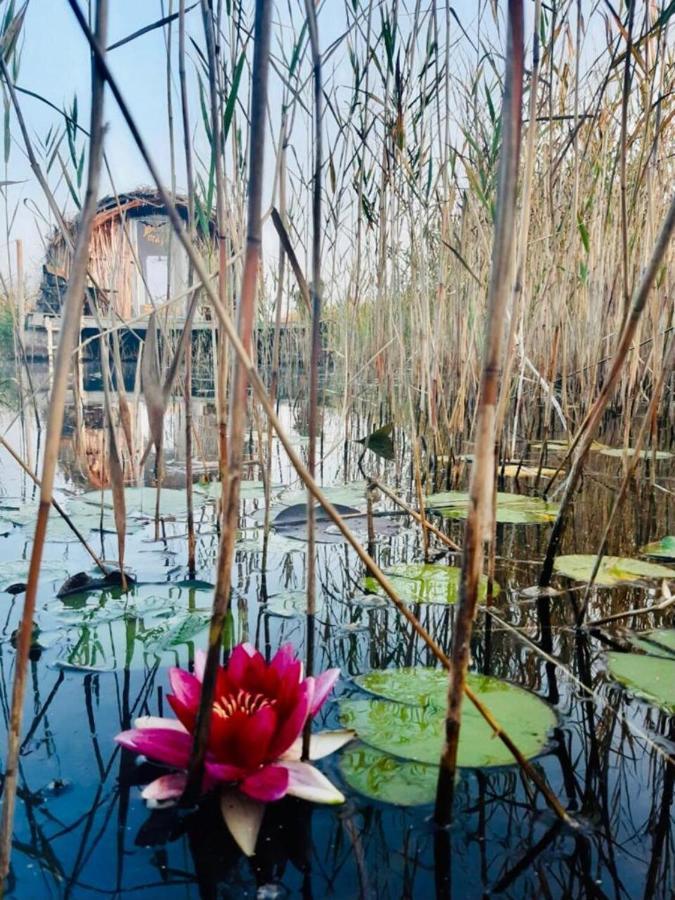 Bebru māja - Beaver house Usma Buitenkant foto