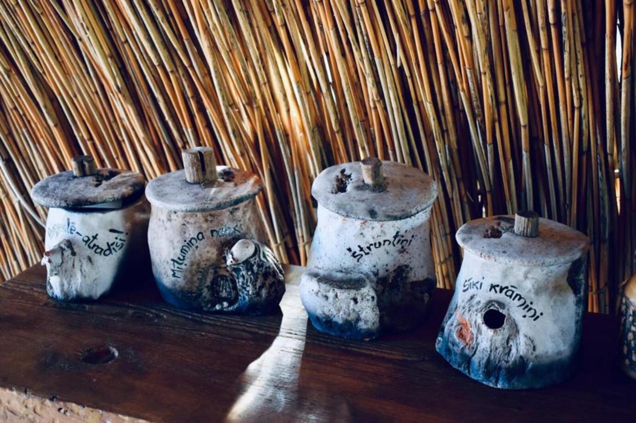 Bebru māja - Beaver house Usma Buitenkant foto