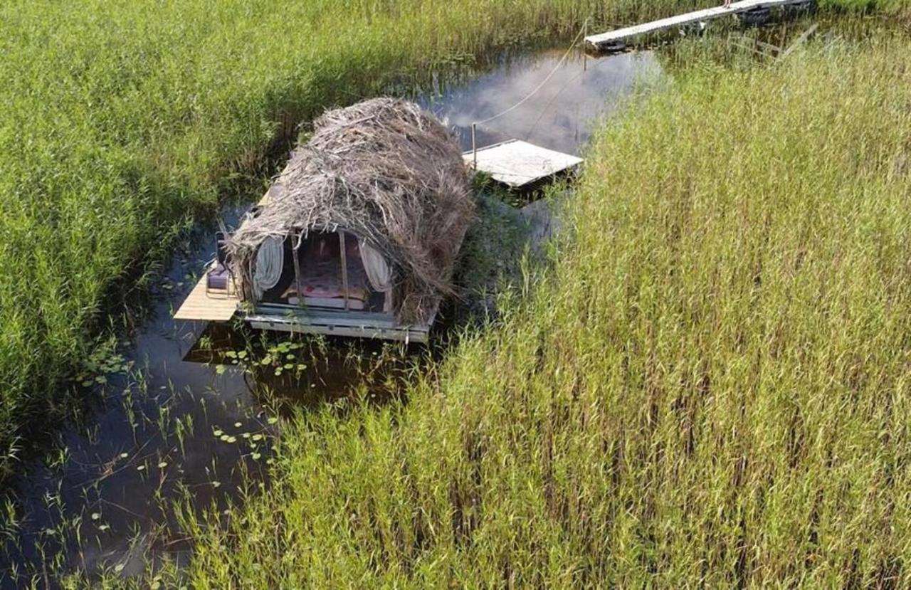 Bebru māja - Beaver house Usma Buitenkant foto