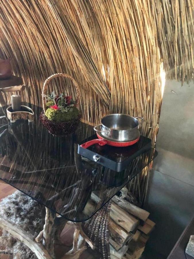 Bebru māja - Beaver house Usma Buitenkant foto