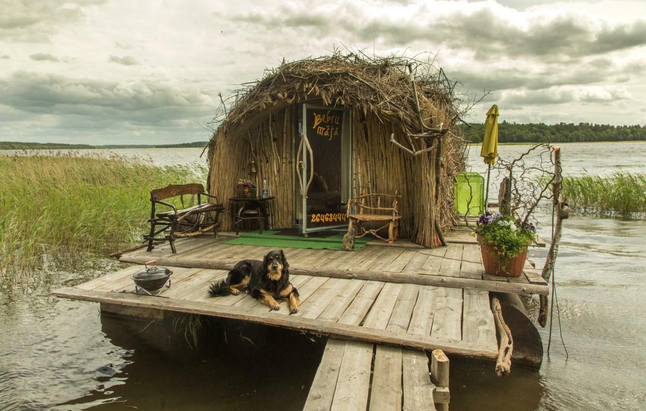 Bebru māja - Beaver house Usma Buitenkant foto